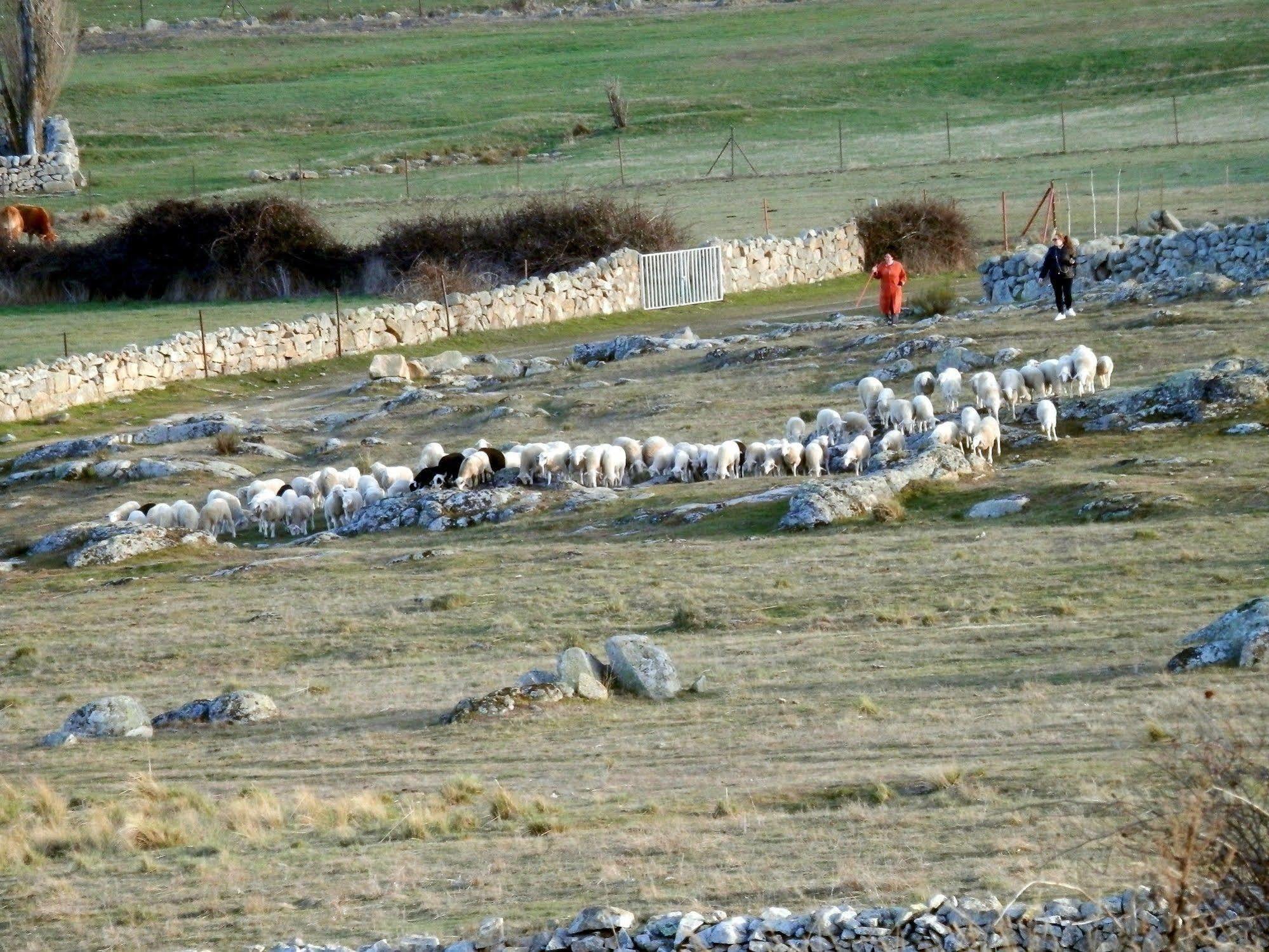 Bernuy-Salinero Casa Rural El Dolmen 게스트하우스 외부 사진